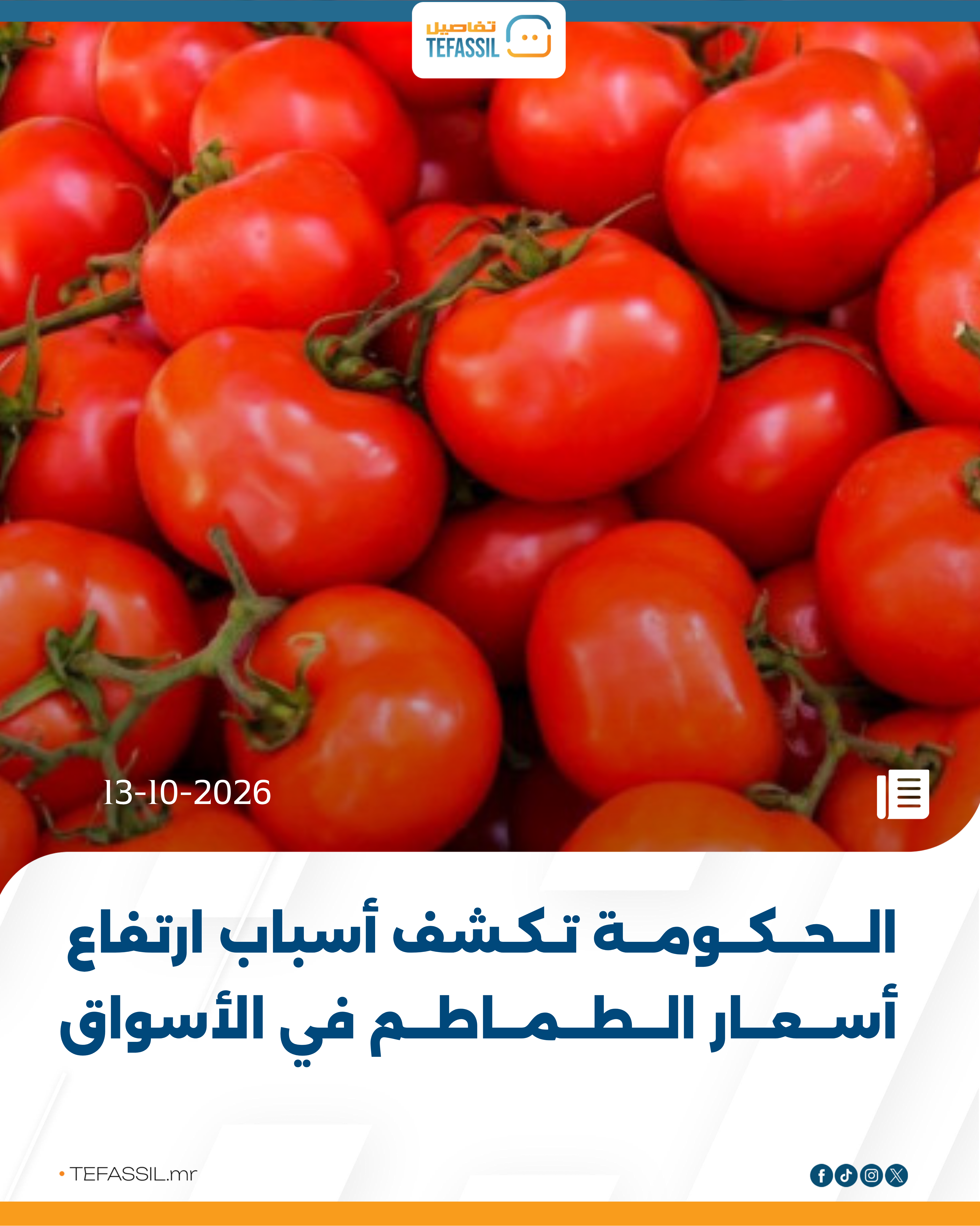 الحكومة توضح أسباب ارتفاع أسعار الطماطم